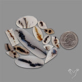 Scenic Agate Cabochons Lot