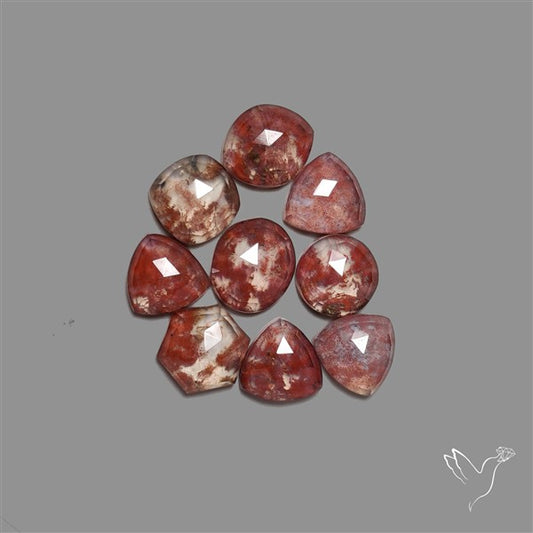 Rose Cut Indonesian Red Moss Agate Lot