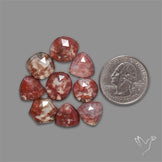 Rose Cut Indonesian Red Moss Agate Lot