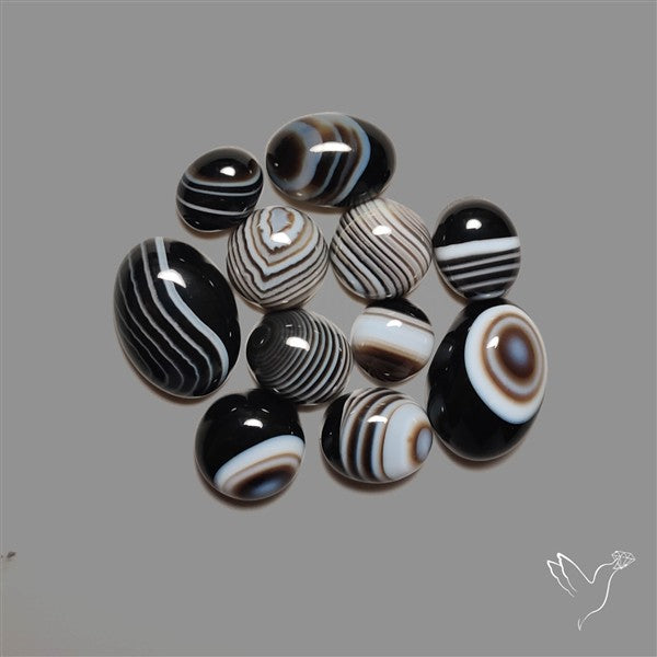 Black Banded Agate Cabochons Lot