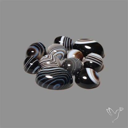 Black Banded Agate Cabochons Lot