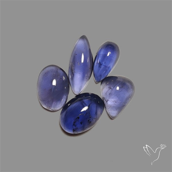 Blue Iolite Cabochons Lot