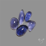 Blue Iolite Cabochons Lot