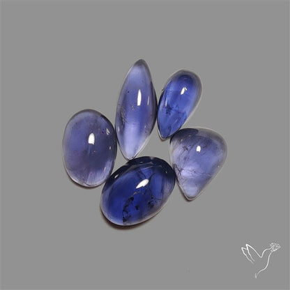 Blue Iolite Cabochons Lot