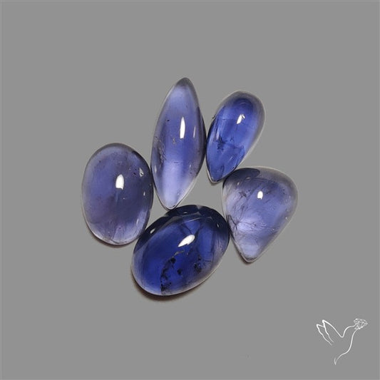 Blue Iolite Cabochons Lot