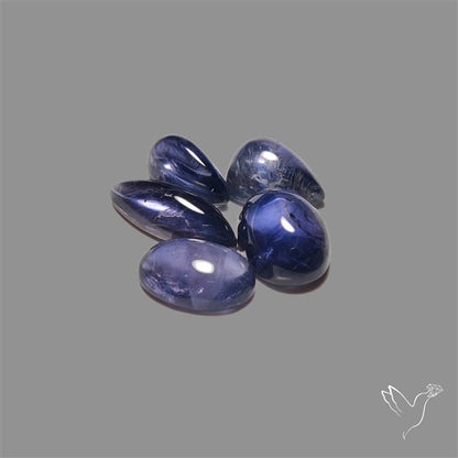 Blue Iolite Cabochons Lot