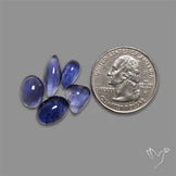 Blue Iolite Cabochons Lot