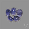 Blue Iolite Cabochons Lot