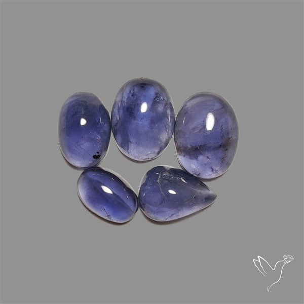Blue Iolite Cabochons Lot