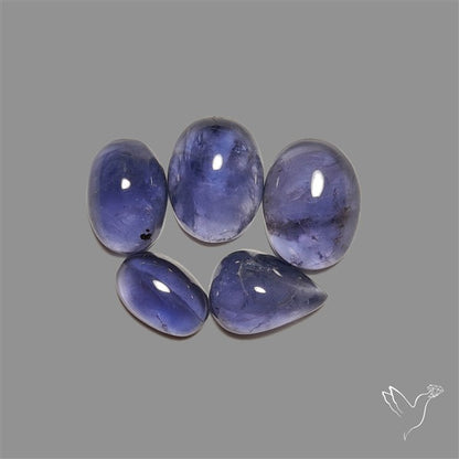 Blue Iolite Cabochons Lot