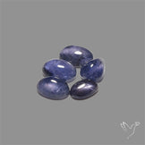Blue Iolite Cabochons Lot