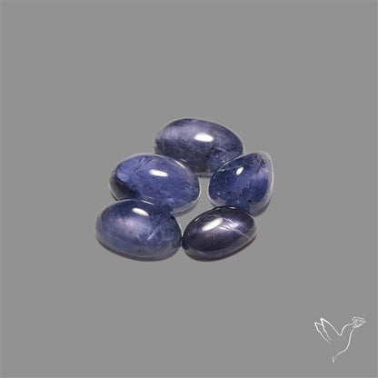 Blue Iolite Cabochons Lot