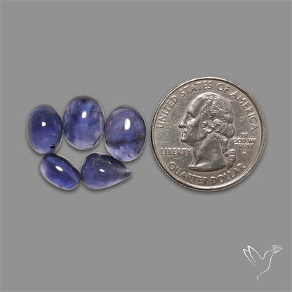 Blue Iolite Cabochons Lot