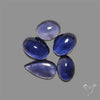 Blue Iolite Cabochons Lot
