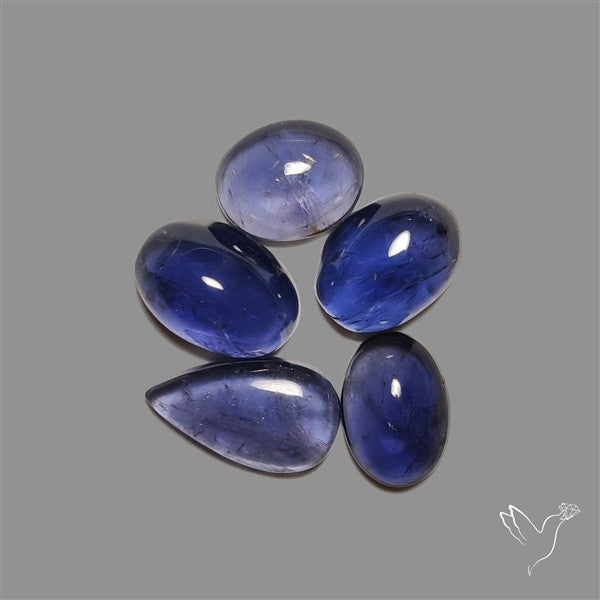 Blue Iolite Cabochons Lot