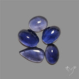 Blue Iolite Cabochons Lot