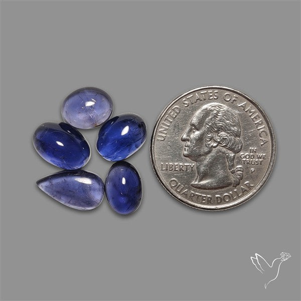 Blue Iolite Cabochons Lot