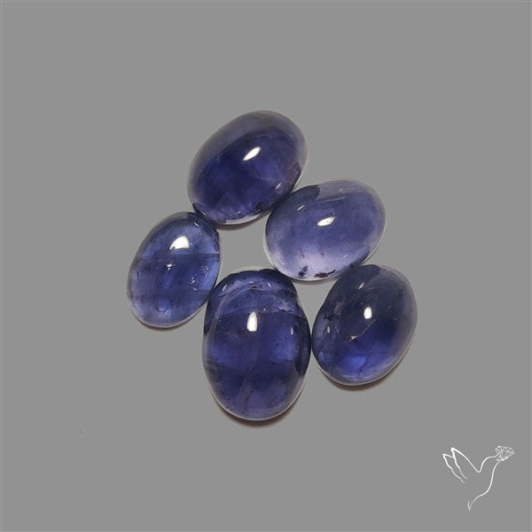 Blue Iolite Cabochons Lot