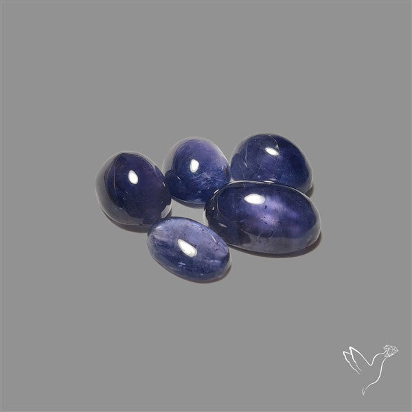 Blue Iolite Cabochons Lot