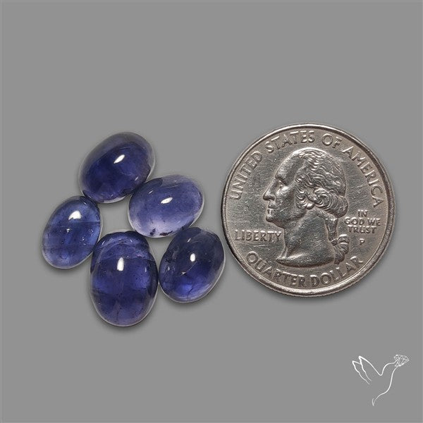 Blue Iolite Cabochons Lot