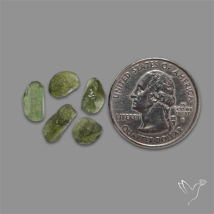 Raw Face Moldavite (Polished Flat Backed)