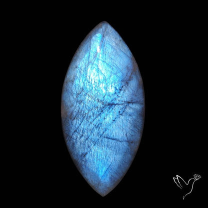 Belomorite Blue Moonstone Cabochon Russian