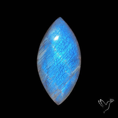 Belomorite Blue Moonstone Cabochon Russian