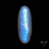Belomorite Blue Moonstone Cabochon Russian