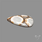 Cobra Jasper Cabochon