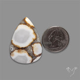 Cobra Jasper Cabochon