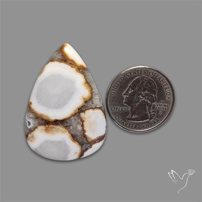 Cobra Jasper Cabochon