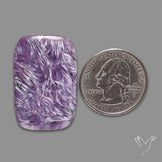 Charoite Cabochon