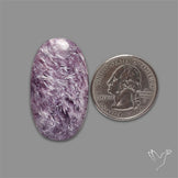 Charoite Cabochon