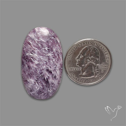 Charoite Cabochon