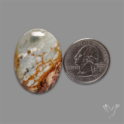 Picture Jasper