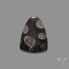 Black Fossil Coral Cabochon