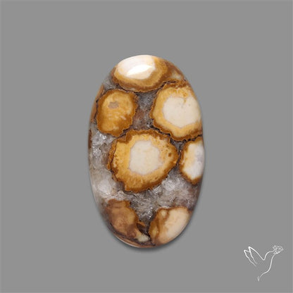 Cobra Jasper Cabochon