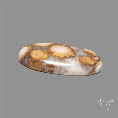 Cobra Jasper Cabochon