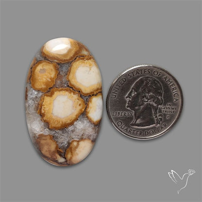 Cobra Jasper Cabochon