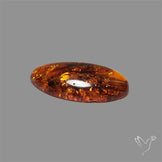 Baltic Amber Cabochon