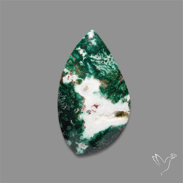 Parrot Wing Chrysocolla Cabochon