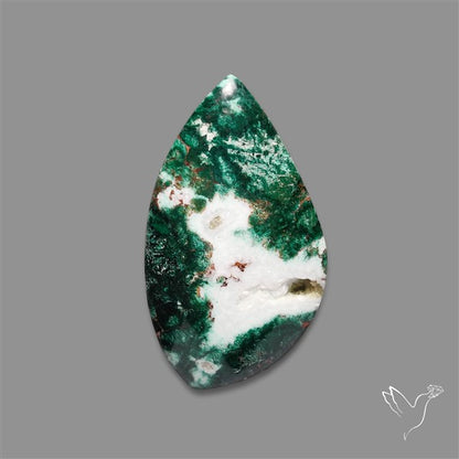 Parrot Wing Chrysocolla Cabochon