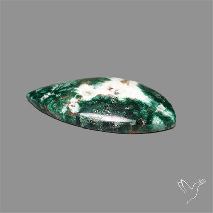 Parrot Wing Chrysocolla Cabochon