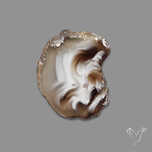 Oco Geode Druzy Slice