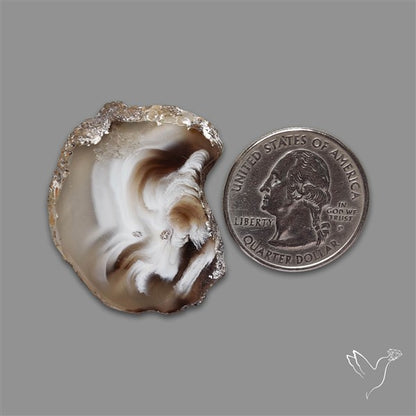Oco Geode Druzy Slice
