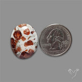 Garnet In Limestone Cabochon