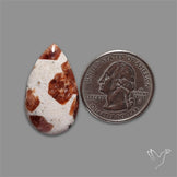 Garnet In Limestone Cabochon