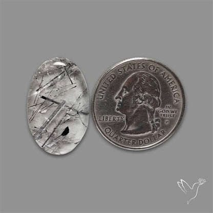 Black Tourmalinated Quartz Cabochon