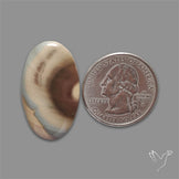 Imperial Jasper Cabochon