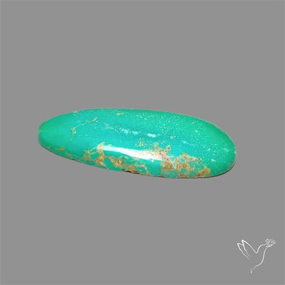Natural Green Hubei Turquoise Cabochon